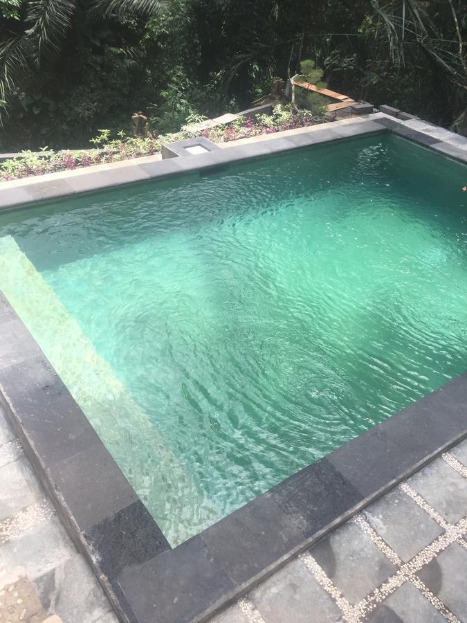 Anggrek Mas Bed & Breakfast * Ubud